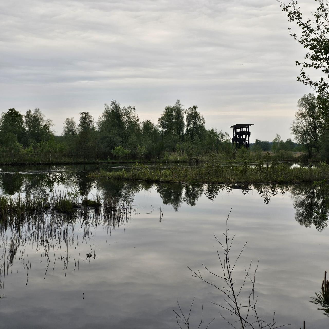 Literatur im Moor25