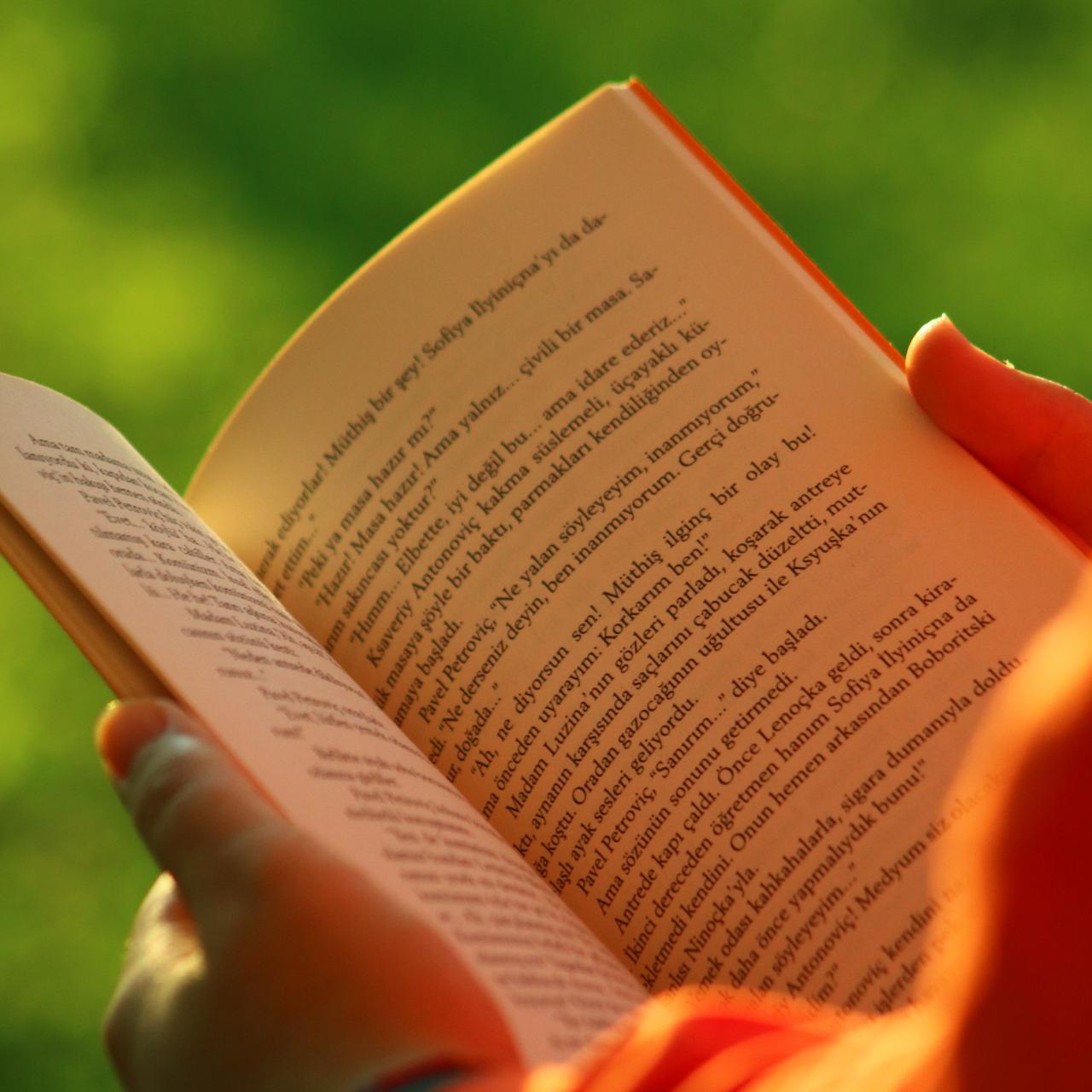 lesen